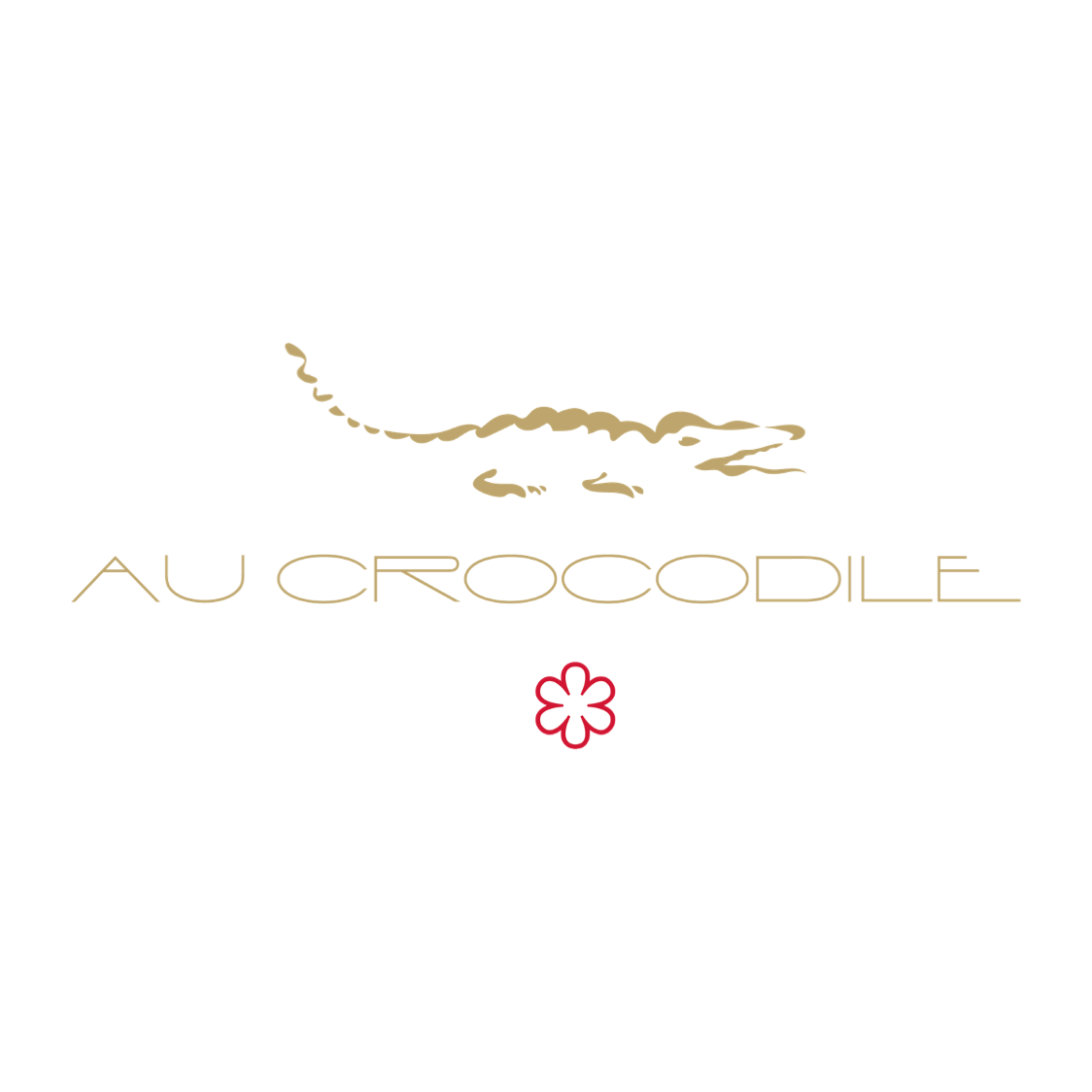 Au Crocodile