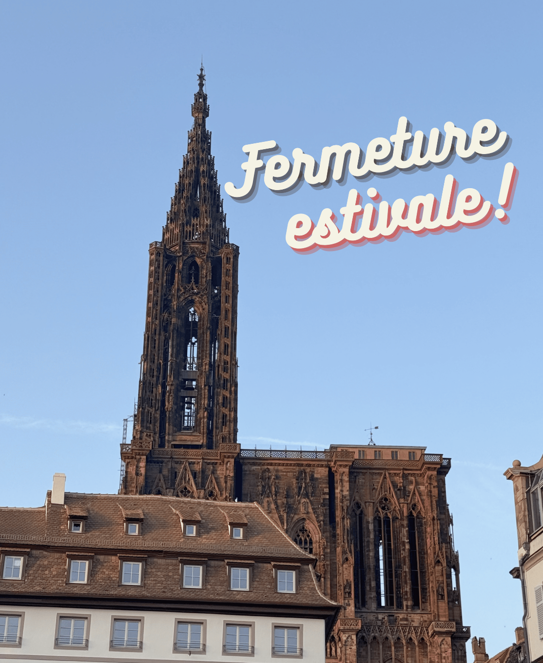 Fermeture estivale des Vitrines de Strasbourg