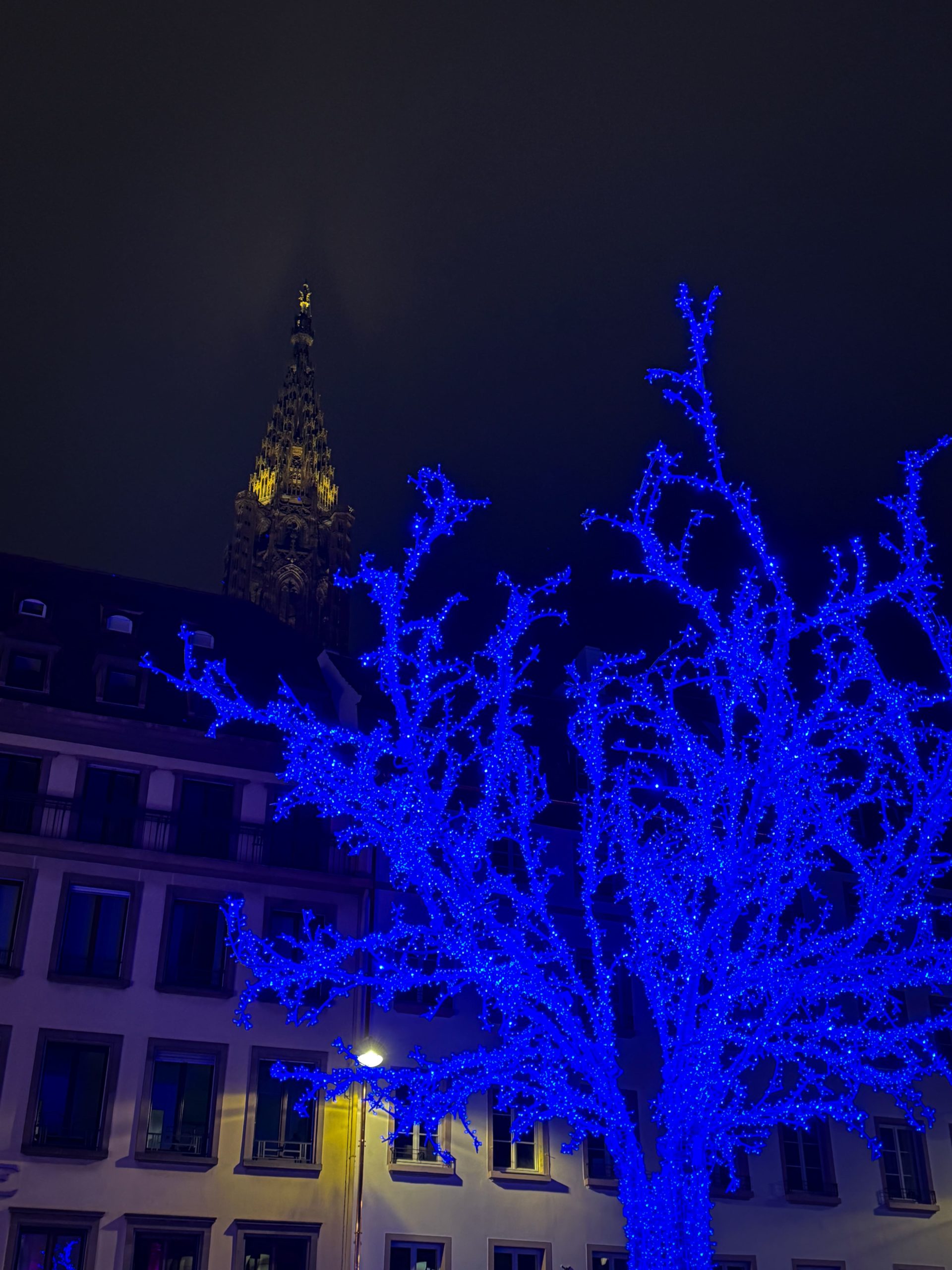 Vivez le grand spectacle des illuminations de Noël