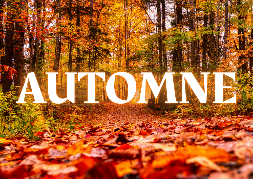 Automne