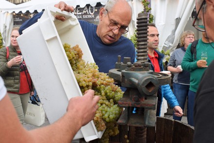 La Fête des Vendanges et du Goût célèbre sa 25e édition à Strasbourg !